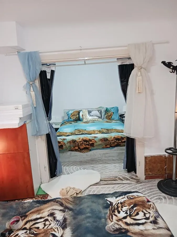 Otto Nu Primesc Santieristi Si Petrecareti Anuntati Ma Cu Doua Ore Inainte Sa Fac Focul Bukarest Ferienhaus